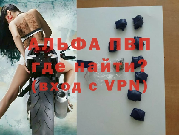 ешки Белокуриха
