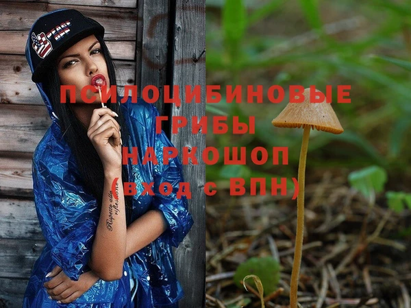 ешки Белокуриха