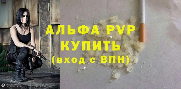 ешки Белокуриха