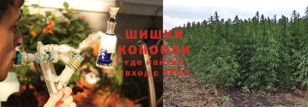 ешки Белокуриха